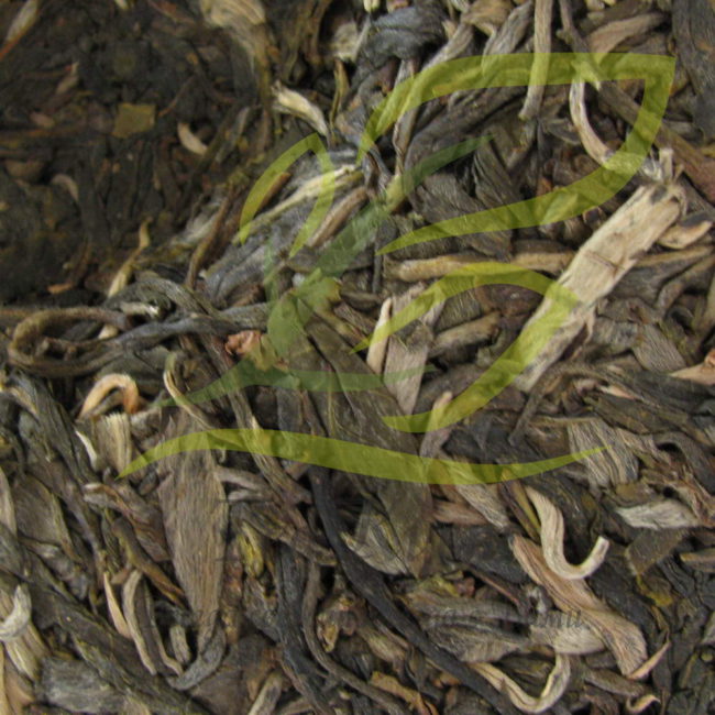 ОЧень качественные листья со старого чайного дерева исползовались ддля производства Шен Пуэра Мэнхай ДаТанг НаКа ГуШу