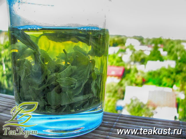 Зелёный чай Джунджак заваривается в стакане