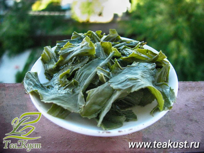 Заваренные листья зеленого чая Джунджак