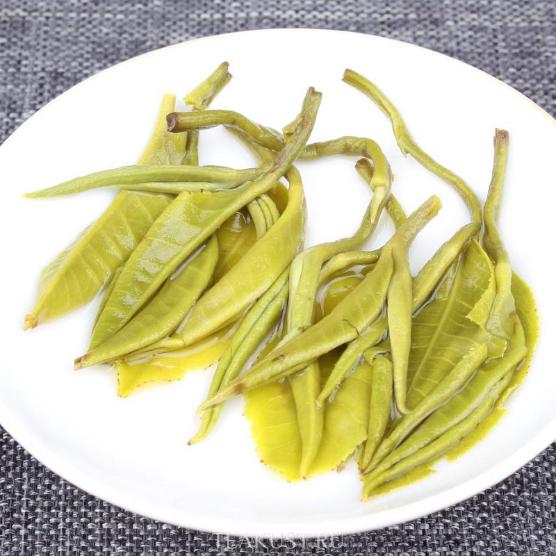 Заваренные листочки зелёного чая Юньнань Билочунь